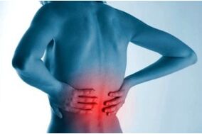 A gerinc osteochondrosisának helye